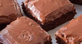 LUNCHROOM Women BROWNIES