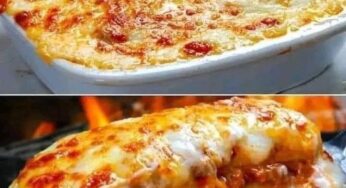 LASAGNA BOLOGNESE