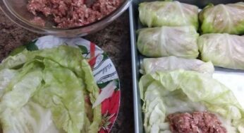 Cabbage Rolls