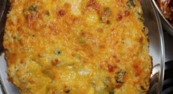 YUMMMY Broccoli Rice Chicken and Cheese Casserole Recipe