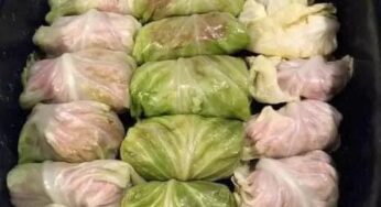 Stuffed Cabbage Leaves