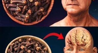 Discovering the Wonders of Cloves A Guide to Enhancing Health After 50