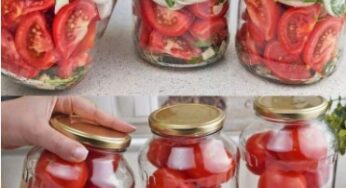 How to Keep Fresh Tomatoes for 6 Months In Glass Containers