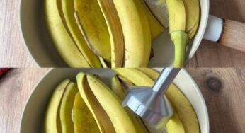 Unlock the Hidden Potential of Banana Peels: Transform Them in Your Food Processor!