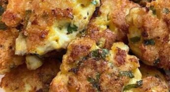 Cheesy Chicken Fritters