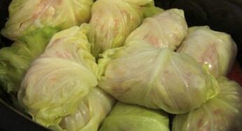 Stuffed Cabbages Rolls