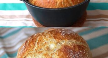 Artisan Dutch Oven Bread