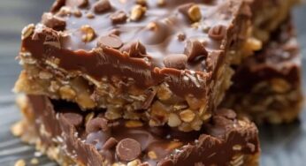 No-Bake Chocolate Oat Bars
