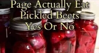 Pickled Beets
