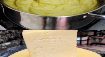 Homemade Cheese Recipe