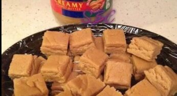 Creamy Peanut Butter Fudge Super Quick and Easy