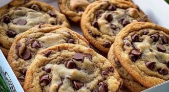 Brown Butter Chocolate Chip Cookies