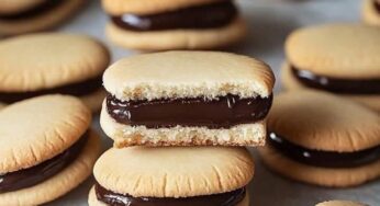 Chocolate Filled Sandwich Cookies
