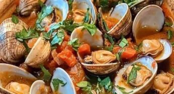 Zuppa di Clams