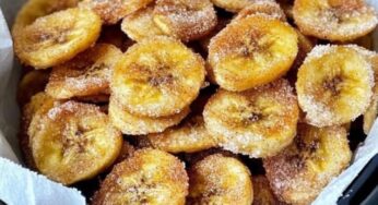 Cinnamon-Sugar Air Fryer Banana Chips Recipe
