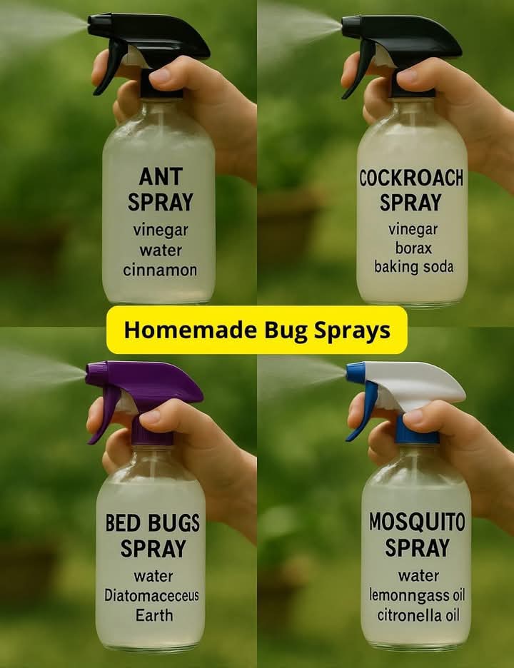 Homemade Bug Sprays: Natural Solutions to Keep Pests Away