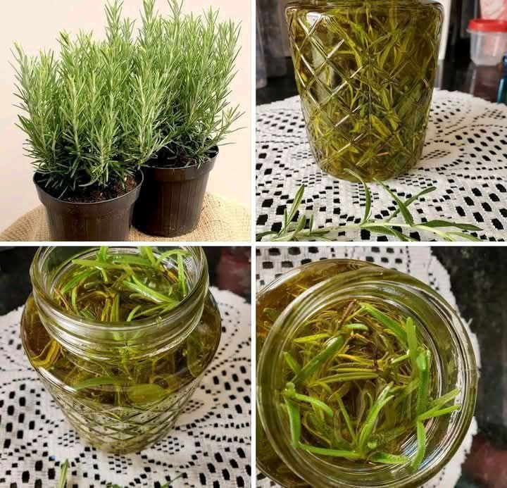 20 Brilliant Ways to Use Rosemary