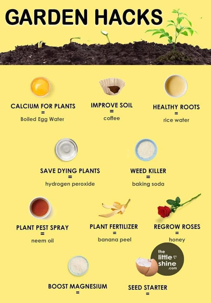 15 Garden Hacks for an Instant Green Thumb