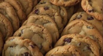 The Ultimate Chocolate Chip Cookie Experience