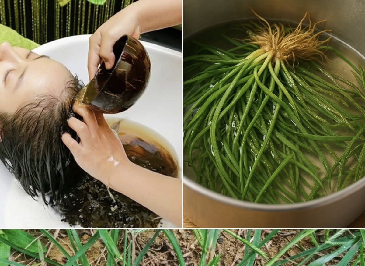 Traditional Herbal Hair Treatment Recipe Using Wild Herbs
