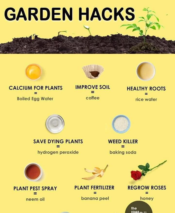 15 Garden Hacks for an Instant Green Thumb