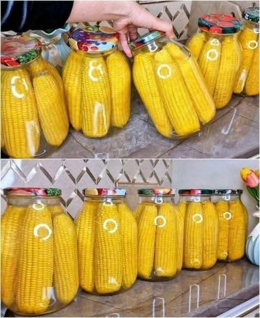 Homemade Canned Corn on the Cob