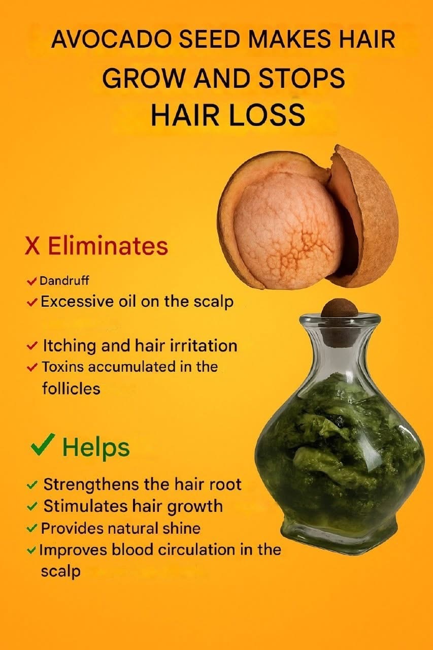 Did You Know the Benefits of Avocado Seeds?