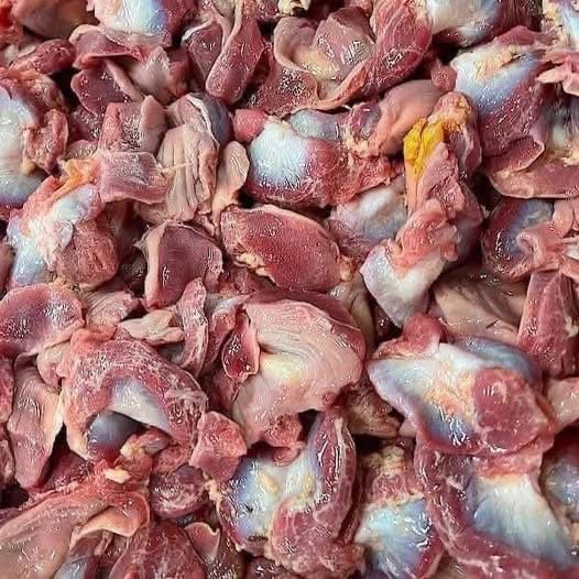 Big Chicken Gizzards Recipe Southern Style Fried Gizzards