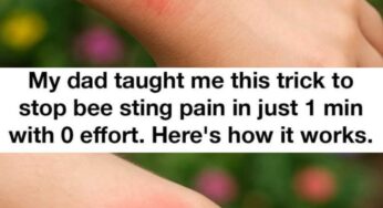 I Didn’t Know This — But My Dad’s 1-Minute Bee Sting Trick Works Like Magic