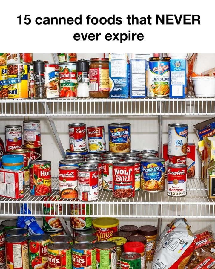 15 canned foods that NEVERever expire