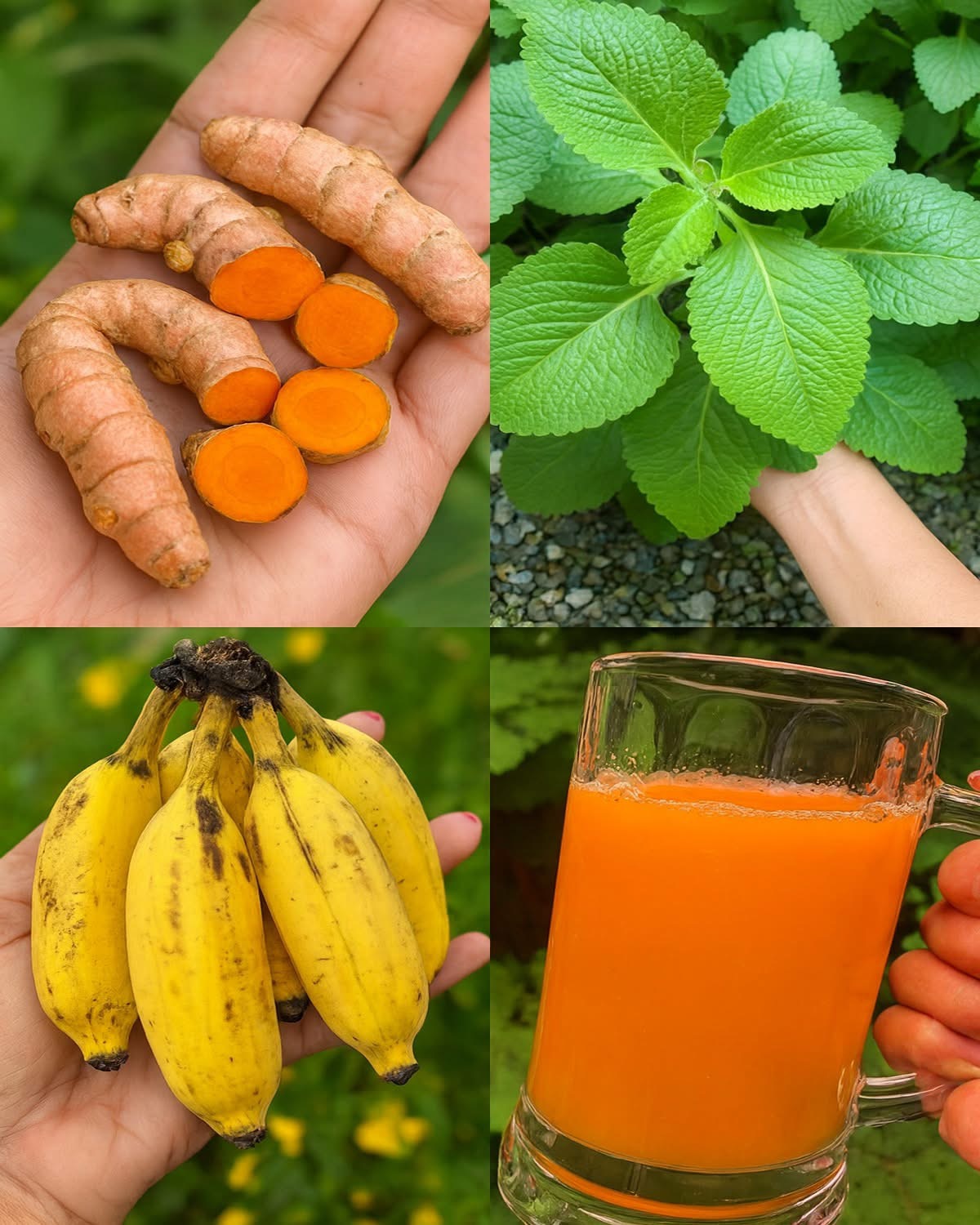 The Healing Power of Turmeric, Herbs, and Bananas: A Natural Elixir for Health