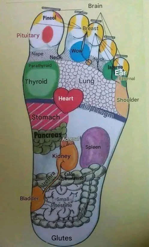 Put Oil on the Soles of Your Feet An Ancient Practice with Surprising Benefits