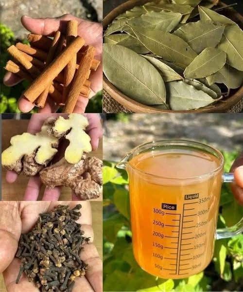 Detox and Immunity Boosting Herbal Tea