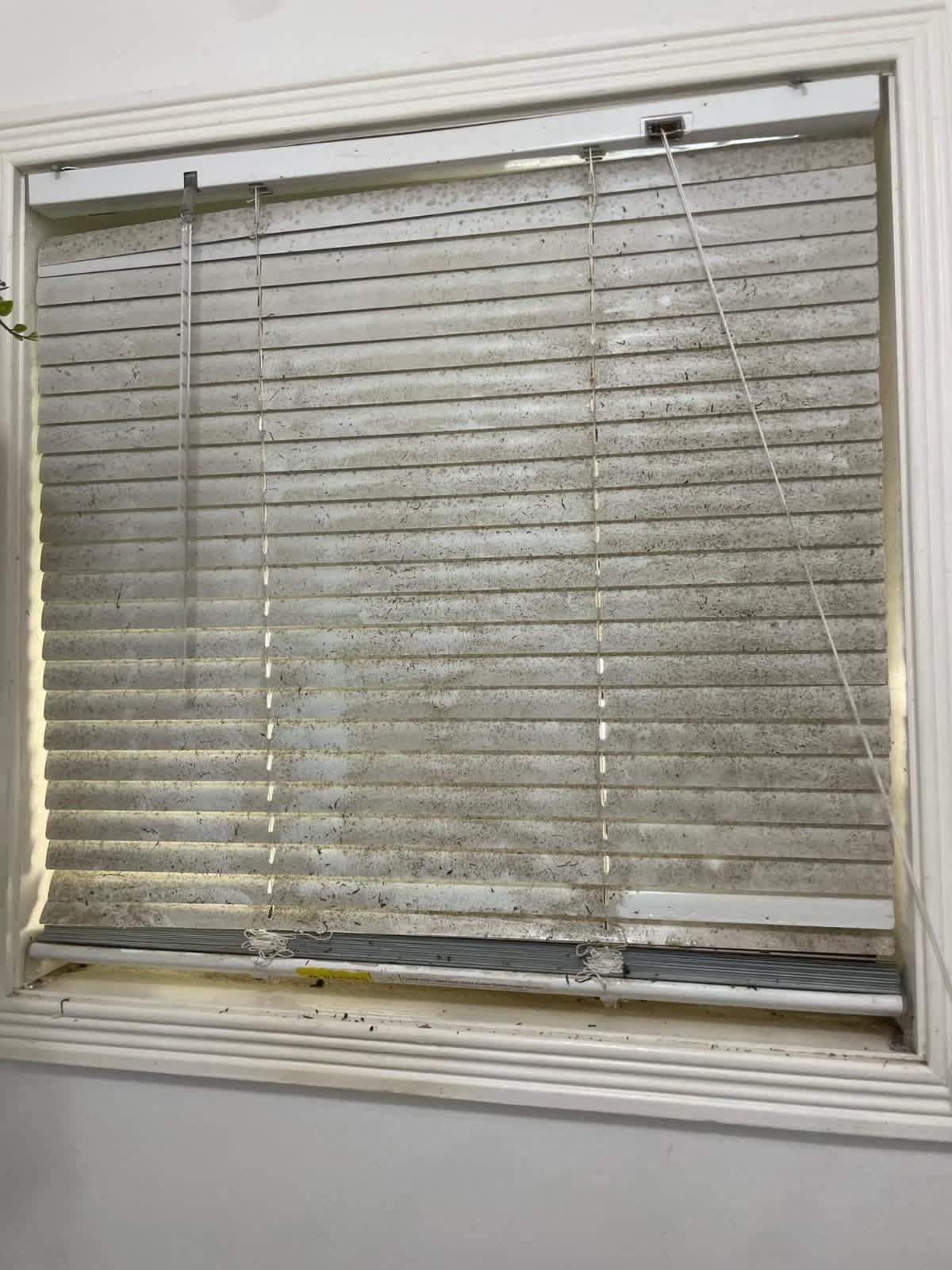 How To Clean Your Blinds Without Taking Them Off The Wall