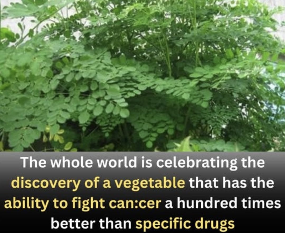 The World Is Celebrating This Super Vegetable — And You’ll Want to Add It to Your Plate