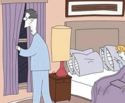 Can you find the book, egg, cup, and pillow?