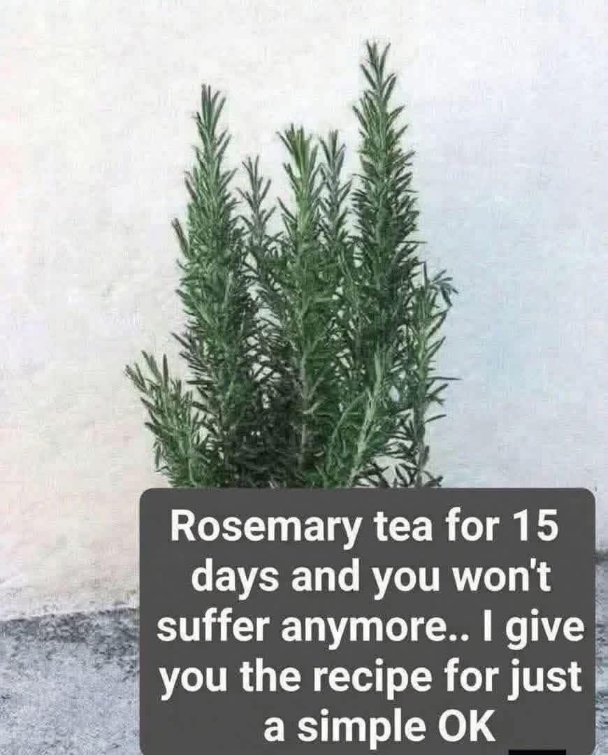 Rosemary Tea for Wellness: A Natural Herbal Remedy