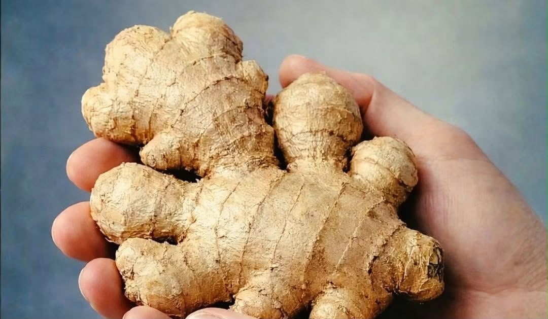 Immune-Boosting Ginger, Garlic, Onion & Honey Tonic